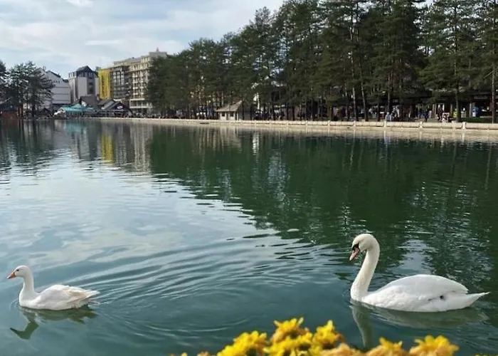 Bellevue Na Jezeru U Samom Centru Zlatibora ,terasa Sa Pogledom *